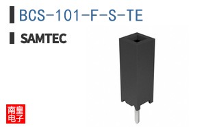 BCS-101-F-S-TE