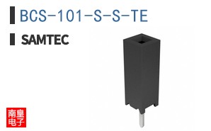 BCS-101-S-S-TE