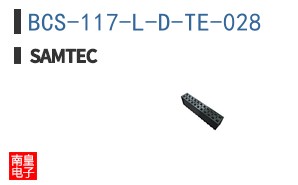 BCS-117-L-D-TE-028