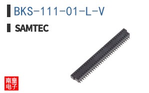 BKS-111-01-L-V