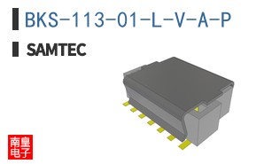 BKS-113-01-L-V-A-P