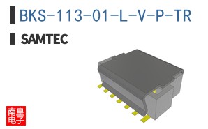 BKS-113-01-L-V-P-TR