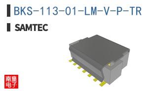 BKS-113-01-LM-V-P-TR
