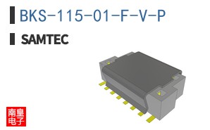 BKS-115-01-F-V-P