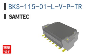 BKS-115-01-L-V-P-TR