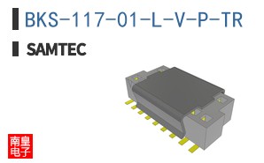 BKS-117-01-L-V-P-TR