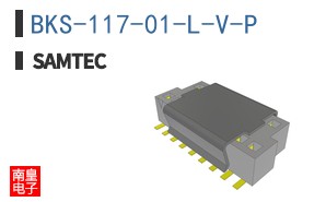 BKS-117-01-L-V-P