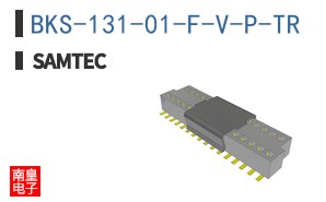 BKS-131-01-F-V-P-TR