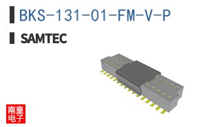 BKS-131-01-FM-V-P