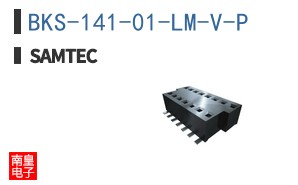 BKS-141-01-LM-V-P