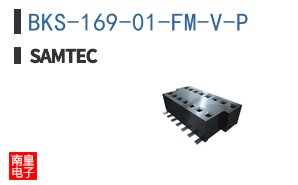 BKS-169-01-FM-V-P