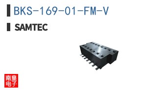 BKS-169-01-FM-V