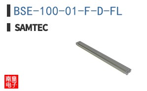 BSE-100-01-F-D-FL