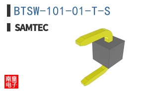 BTSW-101-01-T-S