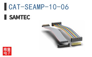 CAT-SEAMP-10-06