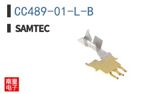 CC489-01-L-B