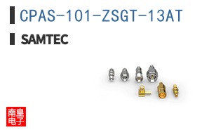 CPAS-101-ZSGT-13AT