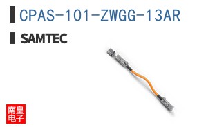 CPAS-101-ZWGG-13AR