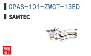CPAS-101-ZWGT-13ED