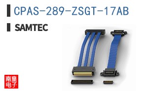CPAS-289-ZSGT-17AB