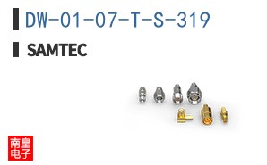 DW-01-07-T-S-319