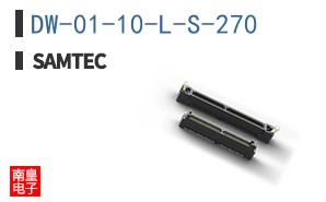 DW-01-10-L-S-270