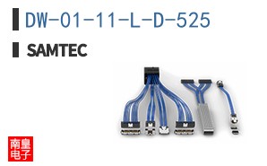 DW-01-11-L-D-525