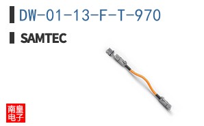 DW-01-13-F-T-970