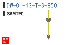 DW-01-13-T-S-850