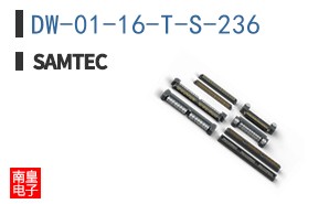 DW-01-16-T-S-236
