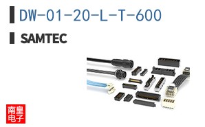 DW-01-20-L-T-600