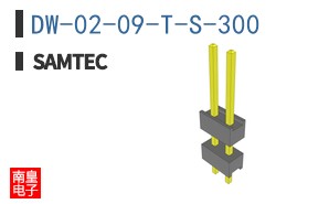 DW-02-09-T-S-300