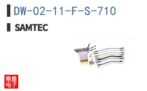 DW-02-11-F-S-710
