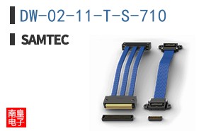DW-02-11-T-S-710