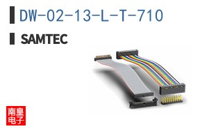 DW-02-13-L-T-710