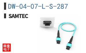 DW-04-07-L-S-287