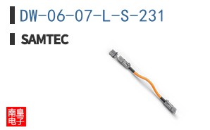 DW-06-07-L-S-231