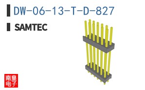 DW-06-13-T-D-827