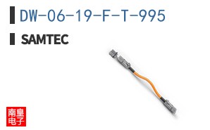 DW-06-19-F-T-995
