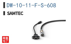DW-10-11-F-S-608