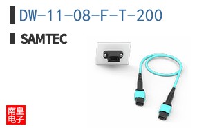 DW-11-08-F-T-200