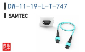 DW-11-19-L-T-747