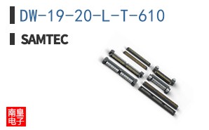 DW-19-20-L-T-610