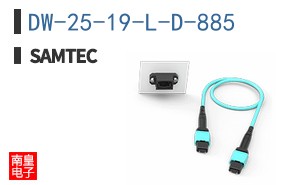 DW-25-19-L-D-885