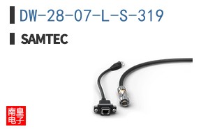 DW-28-07-L-S-319