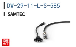 DW-29-11-L-S-585