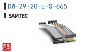 DW-29-20-L-S-665