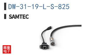 DW-31-19-L-S-825