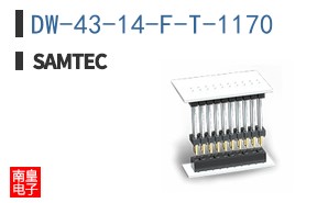 DW-43-14-F-T-1170