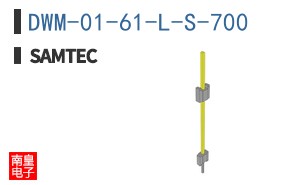 DWM-01-61-L-S-700